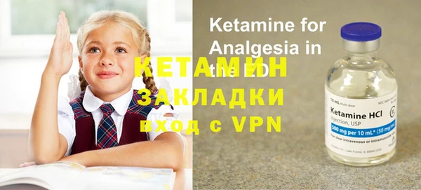 сатива Сатка
