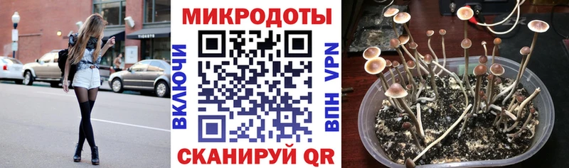 Псилоцибиновые грибы Cubensis  ОМГ ОМГ рабочий сайт  Гагарин 